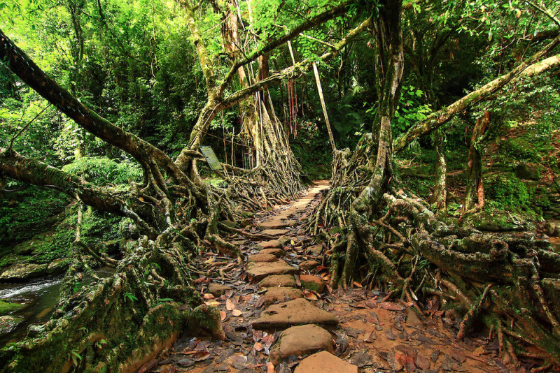 Home Ground: How Meghalaya Is Turning Local Families into the Future of Tourism decoding=