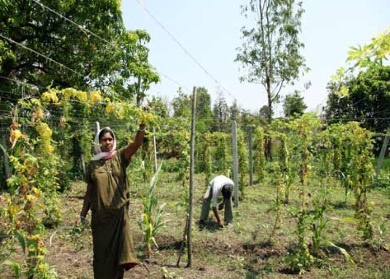 banas-dairybbssl-pact-to-empower-potato-farmers-through-cooperative-model