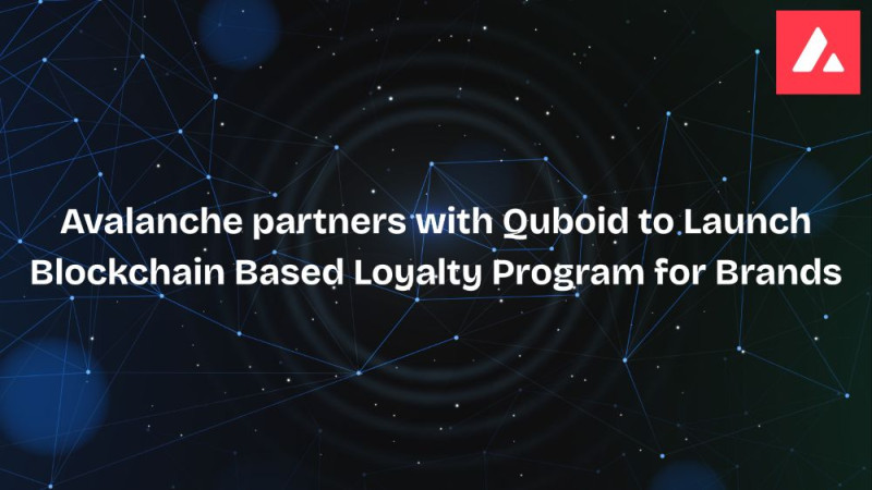 avalanche-partners-with-quboid-to-launch-blockchain-based-loyalty-program-for-brands