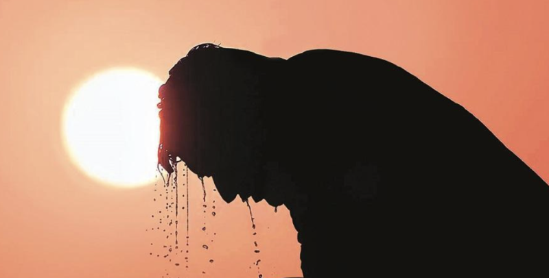 Rajasthan Weather Update: Rajasthan reels under heatwave, IMD warns of intense heat in 23 districts decoding=