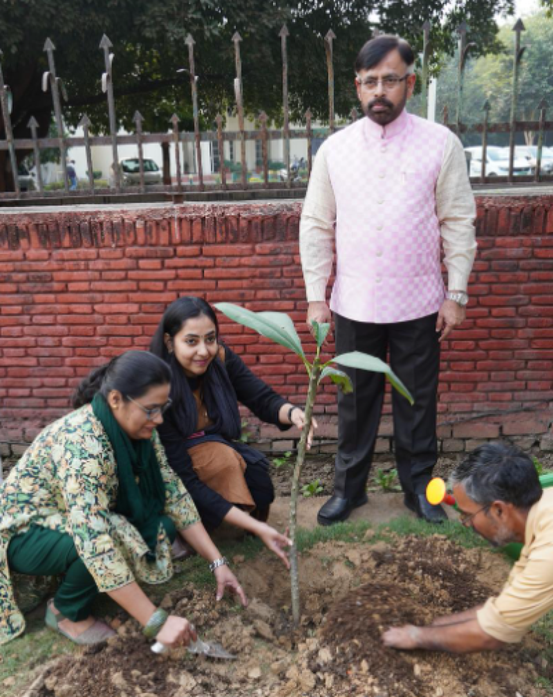 jmi-organizes-special-plantation-drive