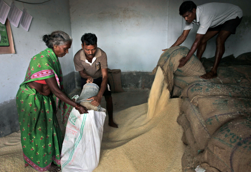 chhattisgarh-provides-food-security-to-273-million-people-under-pds-85-ration-card-members-complete-e-kyc