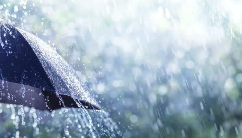imd-warns-of-heavy-rain-thunderstorms-across-multiple-states-alerts-for-northeast-rajasthan-mp-and-south-india