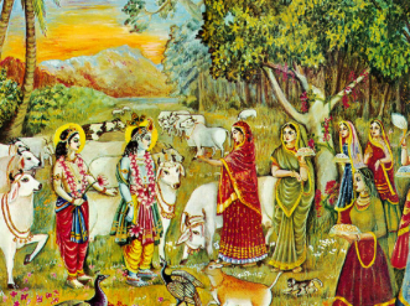 Rajasthan’s Laxmangarh to Host Grand Gopashtami Celebration on October 30 decoding=