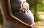 rajasthan-health-department-prioritises-maternal-care-orders-stronger-monitoring-across-hospitals