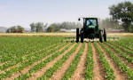 rajasthan-trending-news-rajasthan-govt-gives-appointment-to-157-assistant-agriculture-officers-boosting-farm-services-and-jobs