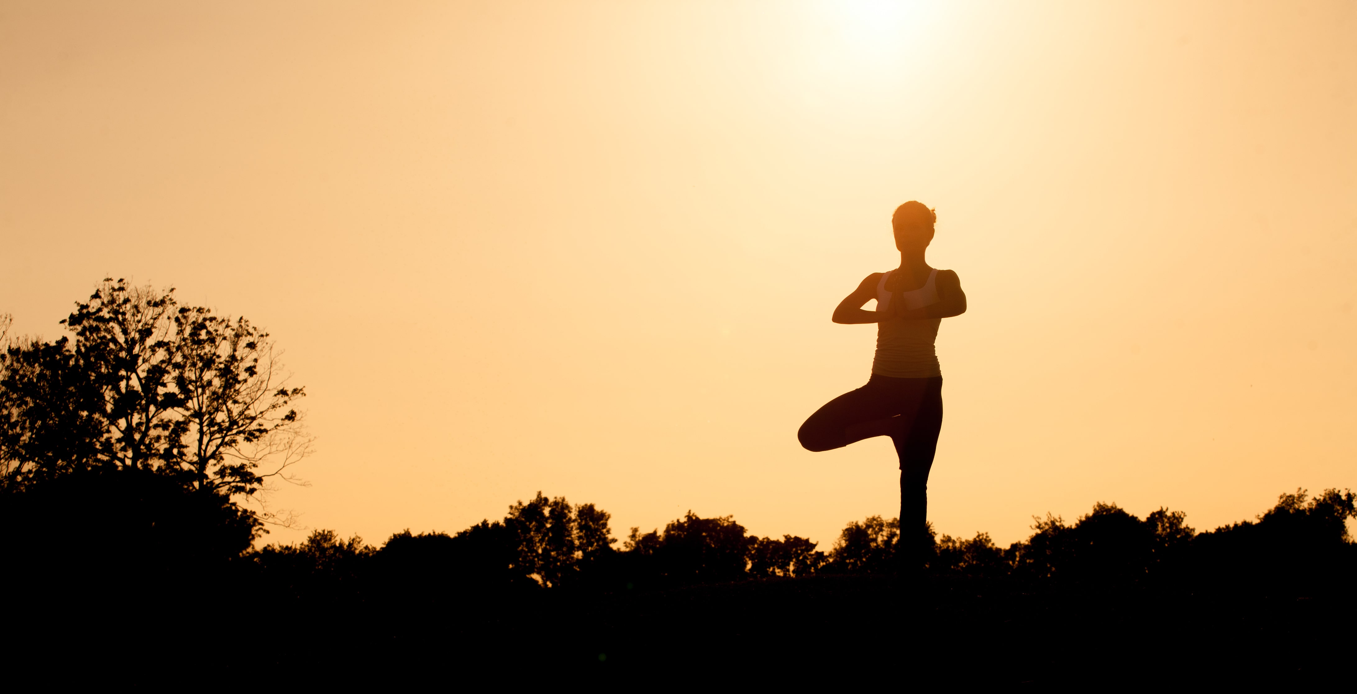 3-day Free Yoga Festival ‘har Dil Dhyan-har Din Dhyan’ From March 17 At Rajasthan University’s Sports Ground decoding=