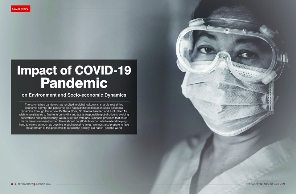 article-by-jmi-faculty-published-as-cover-story-of-terragreen