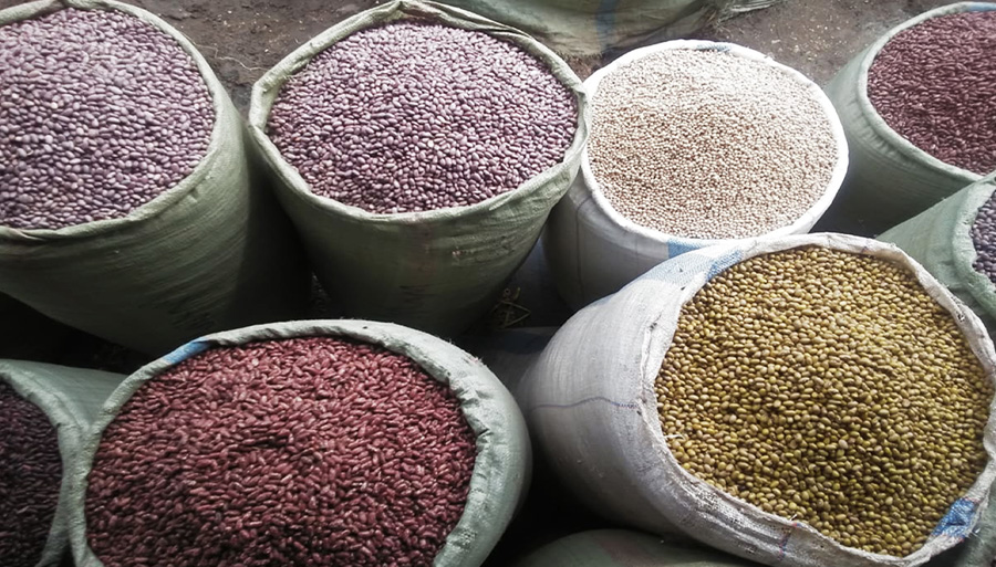 biggest-operation-for-distribution-of-pulses-underway