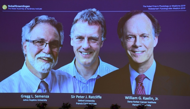 trio-win-medicine-nobel-for-work-on-how-cells-adapt-to-oxygen