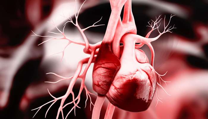 ihs-found-indian-have-an-average-resting-heart-rate-higher-than-the-desired-rate