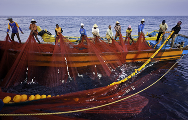 fisheries-sector-joining-hands-with-dolphin-conservation-under-namamigange-umbrella