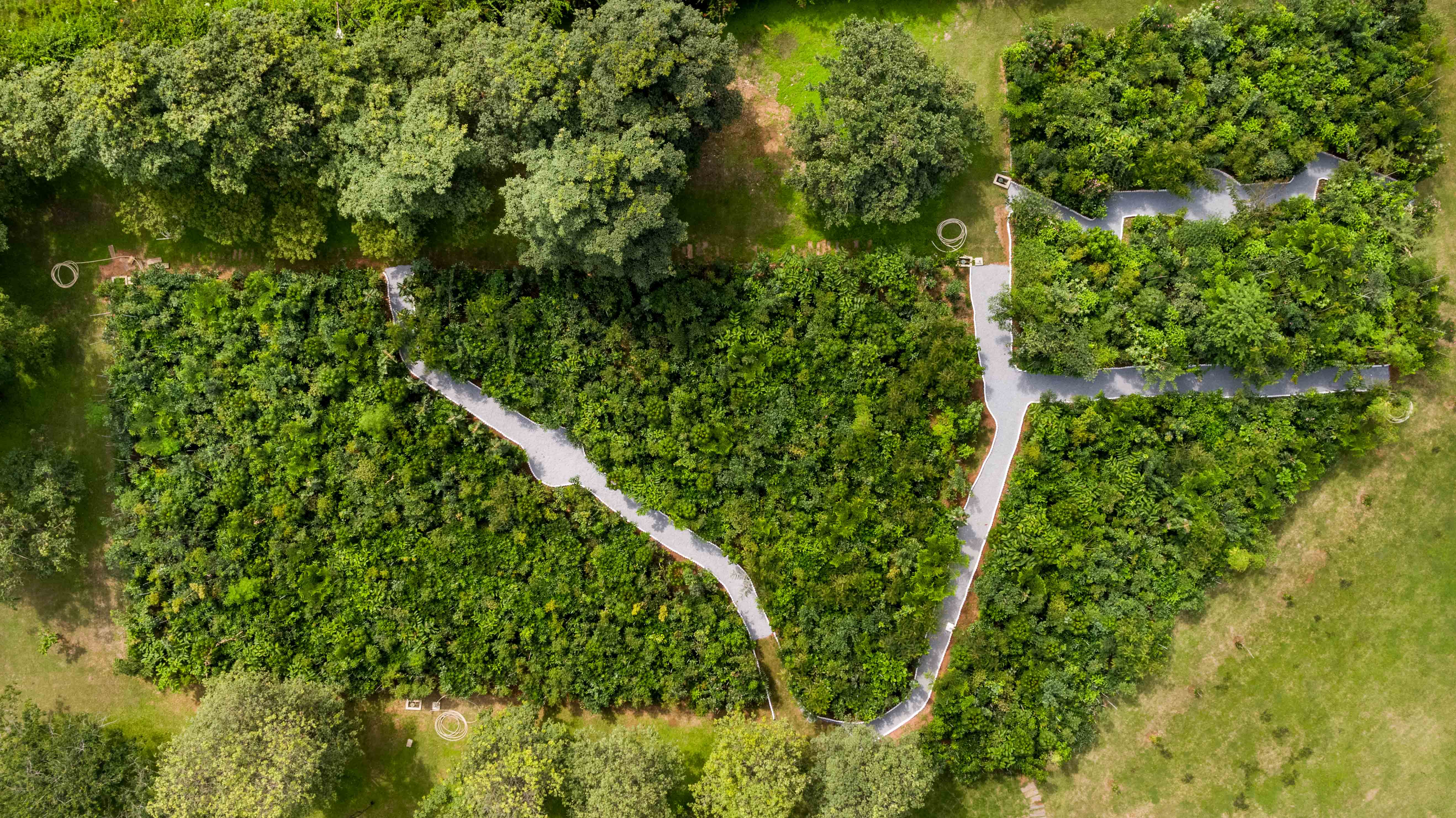 on-world-forestry-day-ashok-leyland-highlights-its-green-initiatives-for-a-sustainable-future