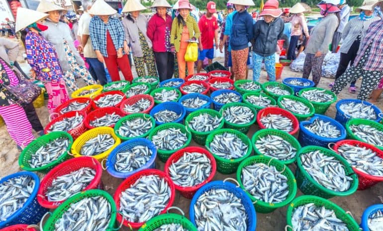 marine-fisheries-development-in-odisha