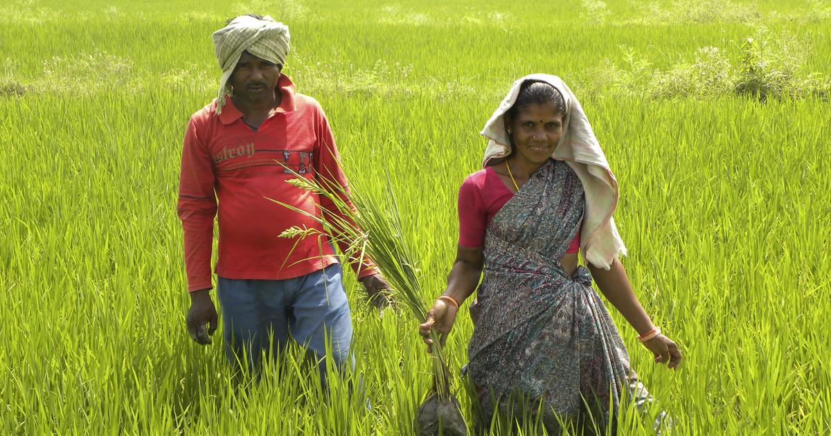 minister-stresses-on-shift-to-organic-farming-practices