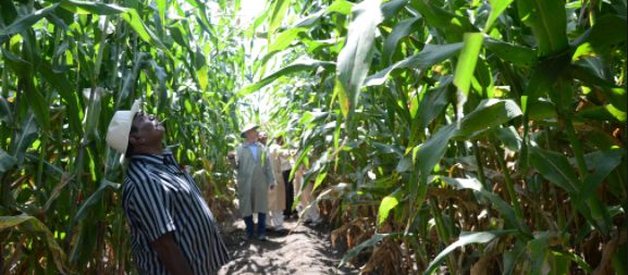 price-of-food-corporation-of-india-rice-to-remain-rs-2000-quintal-for-production