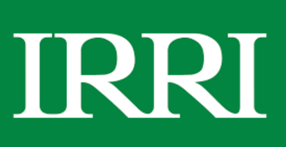 bioseed-partners-with-irri-on-biotechnology-research-and-hybrid-rice-development