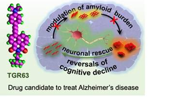 potential-drug-candidate-for-the-treatment-of-alzheimers