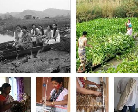 biodegradable-yoga-mat-developed-by-6-young-girls-from-assam-may-save-lakes-from-water-hyacinth-menace