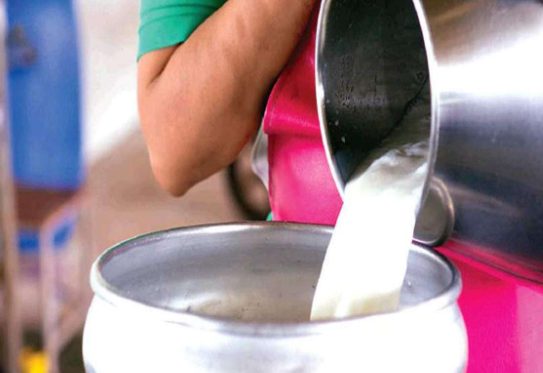 important-news-milk-price-hike-by-12-per-liter-from-first-march