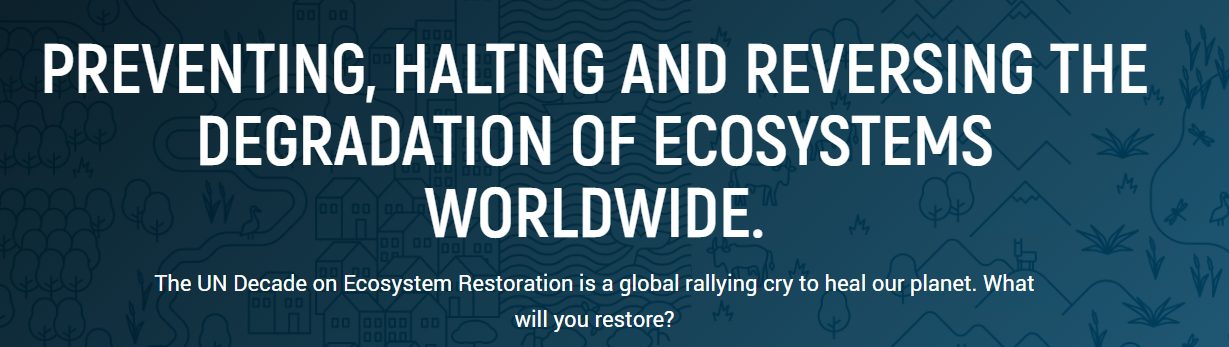 ramky-enviro-announces-end-of-life-vehicle-recycling-facilities-across-the-country-on-world-environment-day