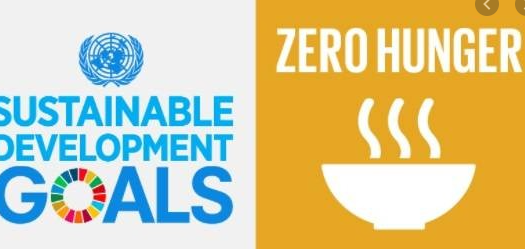 focus-on-sustainable-agriculture-for-zero-hunger-and-poverty-free-nation