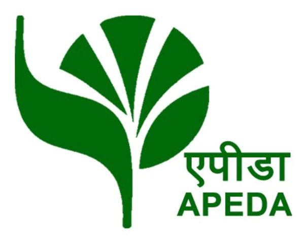 exports-of-basmati-rice-increased-by-25-54-in-april-june-2022-23-to-usd-1-15-billion