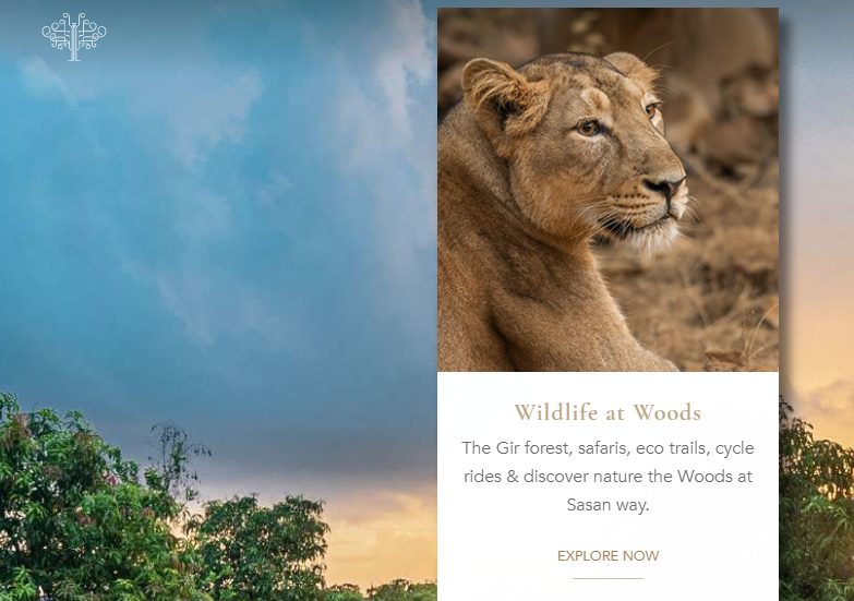 woods-at-sasan-launches-game-into-the-wild-a-unique-package-for-forest-wildlife-conservation