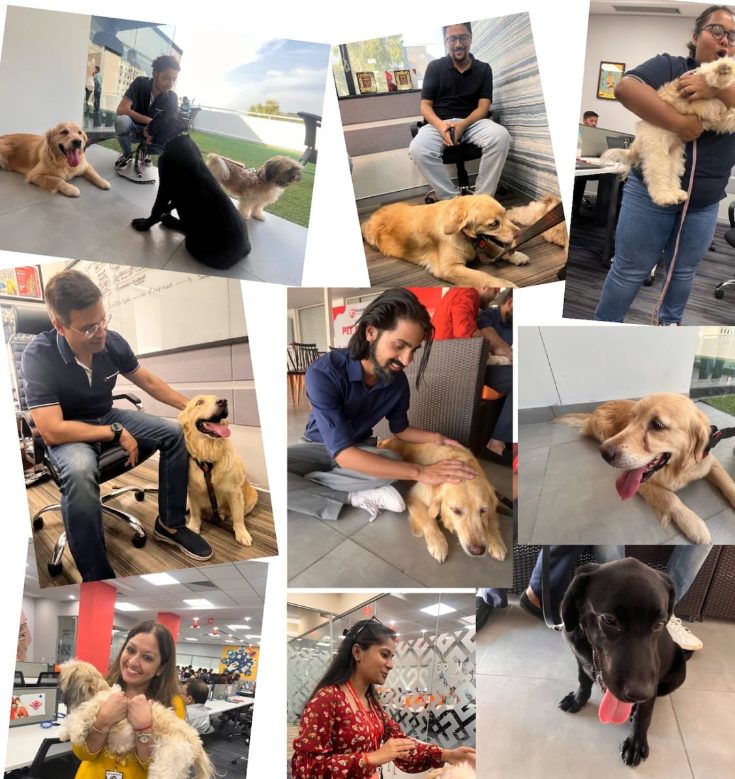 insurancedekho-launches-pet-insurance-on-its-platform