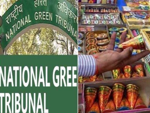 ngt-bans-firecrackers-in-delhi-ncr