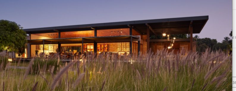 holi-the-sustainable-way-celebrate-the-hues-of-life-at-woods-at-sasan