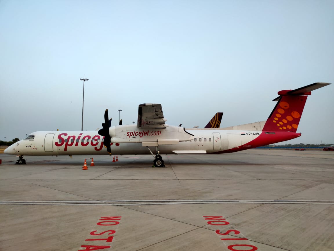 spicejet-carries-175-tons-lychee-fish-seeds-in-may