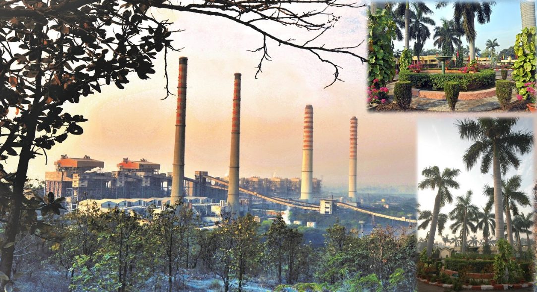 NTPC first unit achieved the highest Plant Load Factor (PLF) of 100.24% among all thermal units in the country decoding=