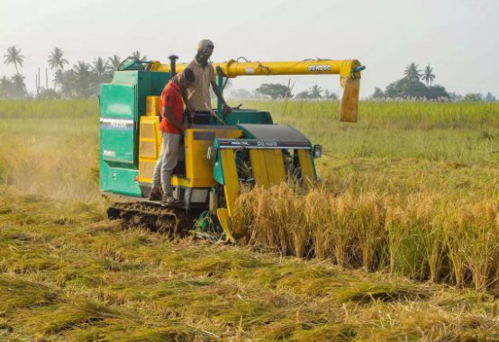 government-to-ensure-fertilizer-availability-during-kharif-2021-season-in-the-country