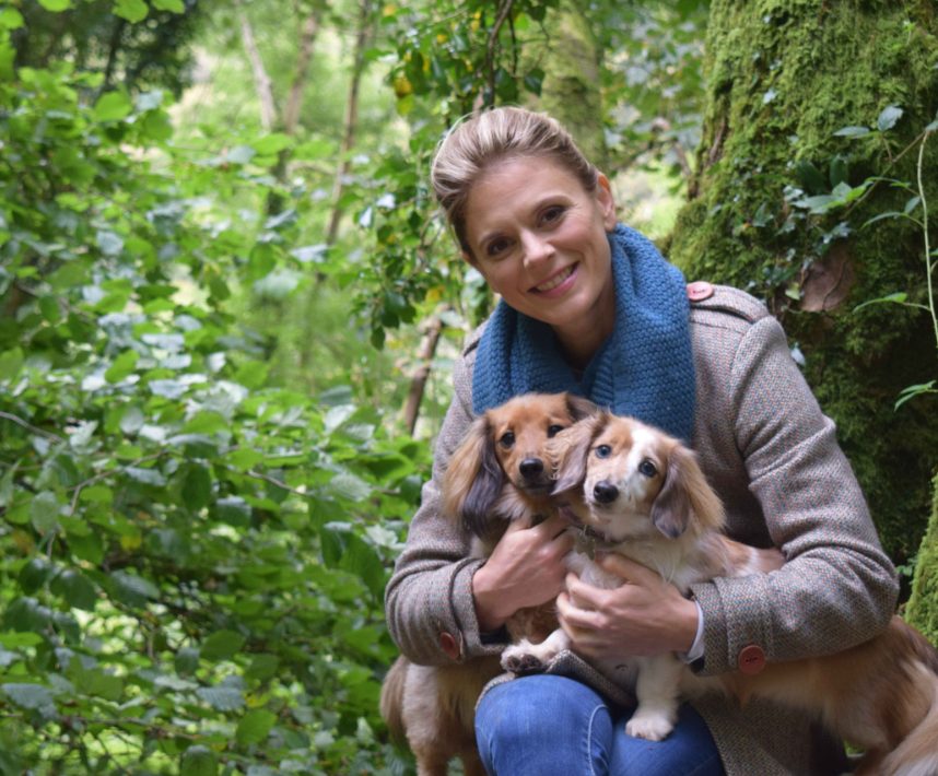 get-ready-for-an-insightful-journey-with-james-webb-the-10-billion-space-telescope-and-other-shows-this-august