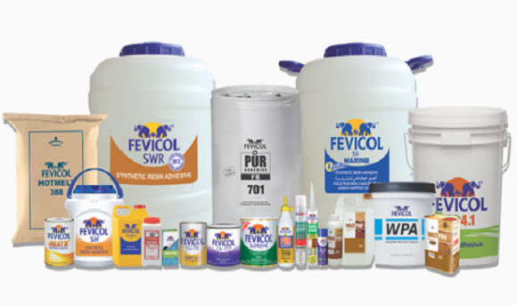 pidilites-board-appoints-mr-rajeev-vasudeva-as-the-additional-director-independent