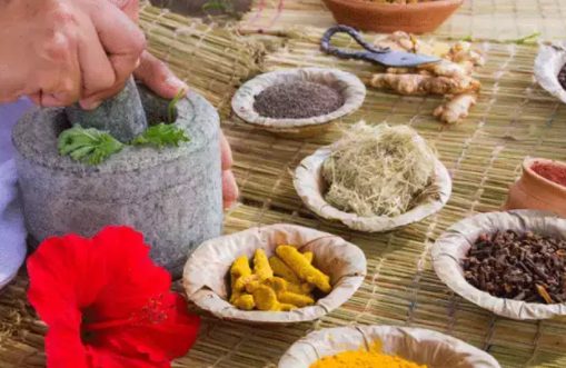 significance-of-ayush-in-boosting-immunity