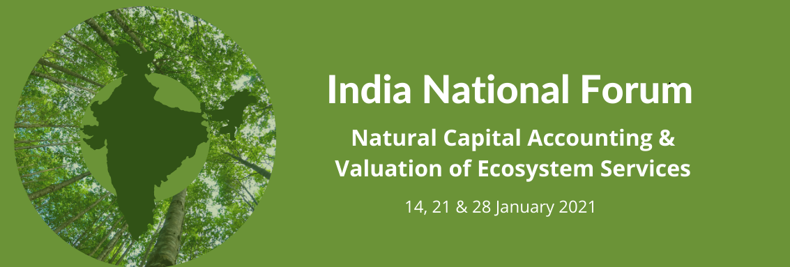 natural-capital-accounting-and-valuation-of-ecosystem-services-2021
