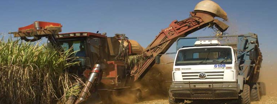 shree-renuka-sugars-limited-srsl-empowering-growth-driven-by-performance-across-all-segments