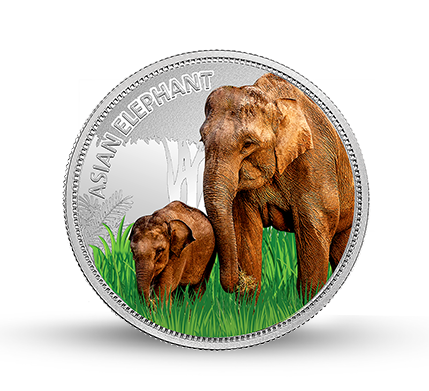 MMTC-PAMP launches limited-edition silver coins with WWF India on World Wildlife Day decoding=