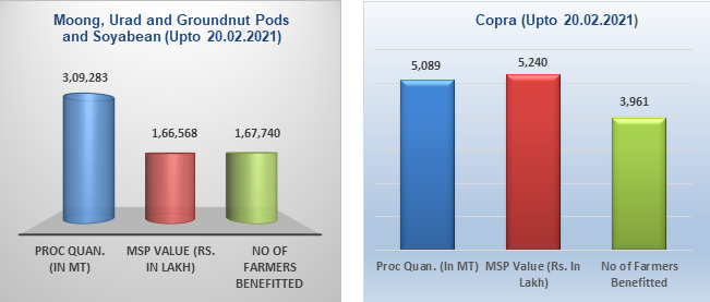 9156107-cotton-bales-valuing-rs-26701-87-crore-procured