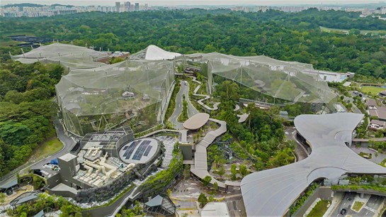 bird-paradise-set-to-open-in-singapore-adds-to-growing-list-of-attractions-for-visitors
