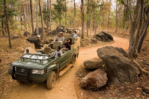 this-world-wildlife-day-discover-the-secrets-of-the-jungle-with-taj-safaris