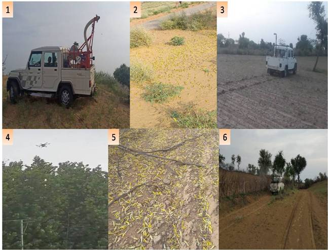 locust-control-operations-carried-out-in-more-than-3-70-lakh-hectares