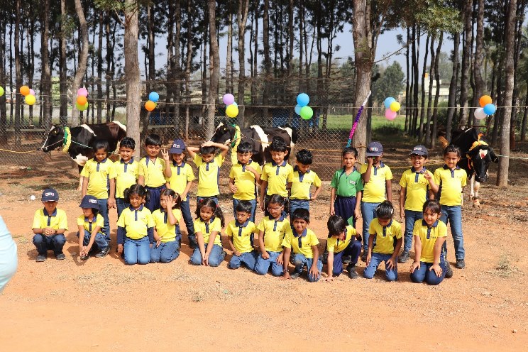 tiny-tots-of-trio-world-school-celebrating-the-makar-sankranti