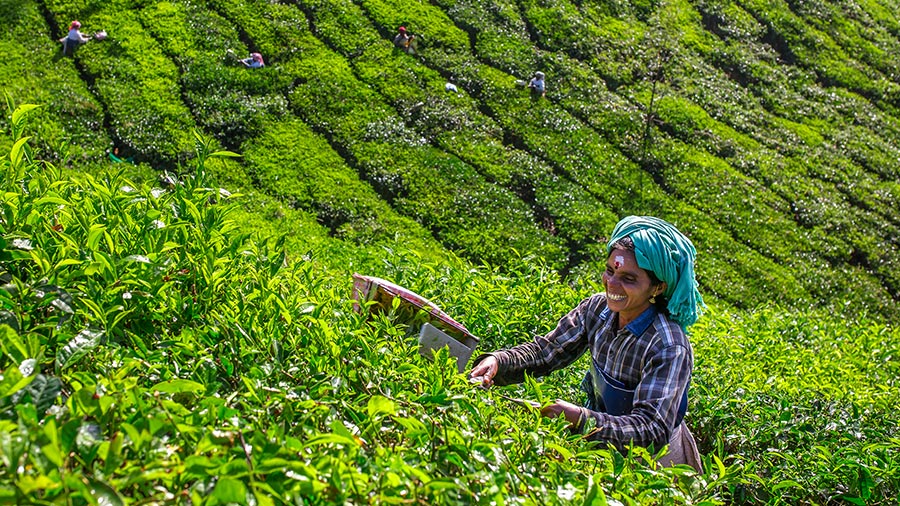 development-of-infrastructure-in-north-eastern-states