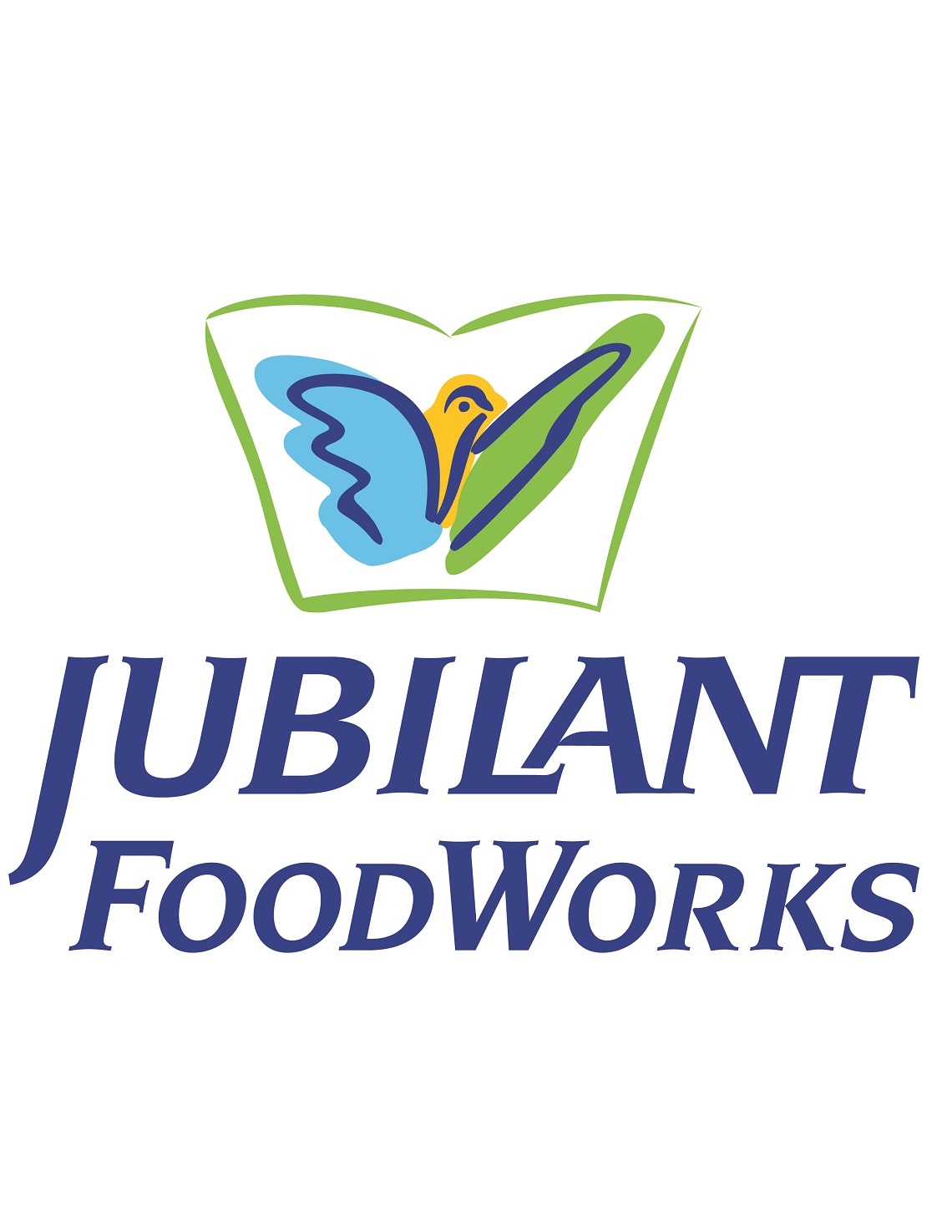 jubilant-foodworks-limited-financial-results-for-q2-h1-fy20