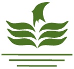 morarka-finance-recommends-40-dividend-rs-4-per-share