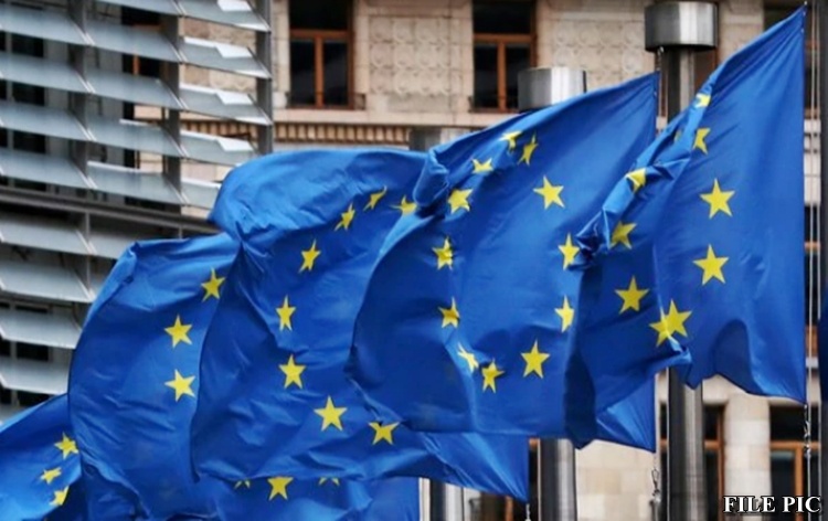 eu-parliamentarians-slam-pakistan-for-harbouring-terrorists-back-india-on-kashmir-issue