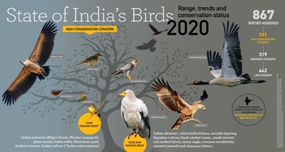 two-new-bird-species-found-during-great-backyard-bird-count-in-ladakh
